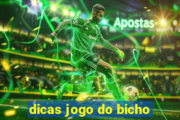 dicas jogo do bicho